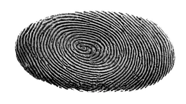 Fingerprint Detail: An intricate fingerprint, a unique testament to the individual, etched in captivating detail.
