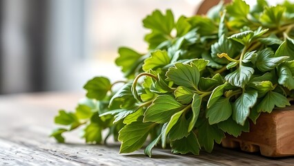 tolerable. Close-up of dried lovage leaves on a wooden rack with natural morning light. gardening catalogs, home-decor guides, designed for home decor and floral branding, used by sports marketers.