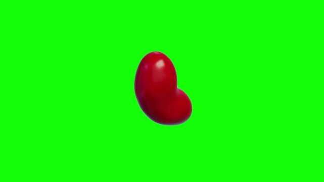 3d Common red bean or Kidney bean spinning loop isolated on a green screen, 4k A vibrant adzuki bean seed turning rotation illuminated by soft studio lighting animation on chroma key