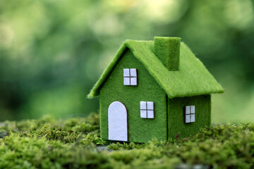 Eco Green House Model on Moss Sustainable Living and Environmental Concept