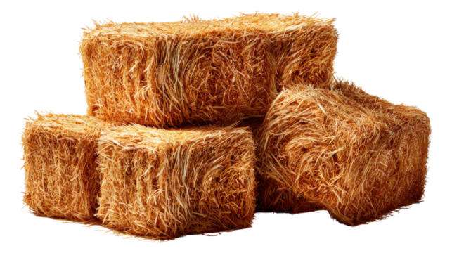 Golden Harvest: A close-up shot of several golden straw bales, the warm tones evokes a sense of rustic charm and the essence of the harvest season. 