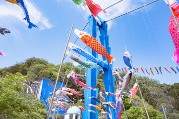 茨城　鯉のぼりと竜神大吊橋
