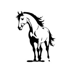 horse vector illustration