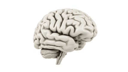 Unleash Your Potential with a Brilliant Mind, Perfect for Neuroscience, Psychology, or Educational Projects and Designs, Inspiring Innovative Thinking