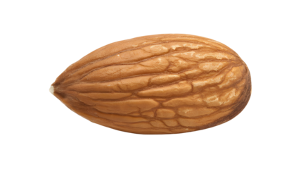 Single almond kernel showcasing its natural texture and shape, perfect for healthy food ads, snack packaging designs, or nutritional content creation