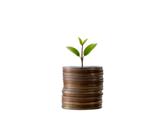 Money growth concept with plant sprouting from stacked coins png
