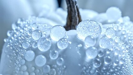 Glacial orbs adorn ghostly gourd - Powered by Adobe
