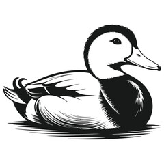 duck on white background
