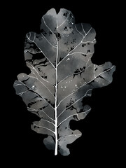 Isolated oak leaf watercolor illustration with ink contour. Hand drawn botanical artwork in natural shades, combining digital and traditional techniques. Perfect for autumn decor, prints, design.