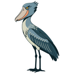 shoebill
