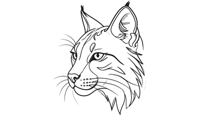 A grayscale, side-profile illustration of a bobcat's head with detailed lines, set against a stark white background