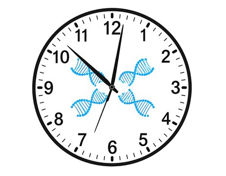 A clock face with DNA strands replacing the numbers - Powered by Adobe