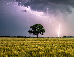 A single tree against a vivid sky lit by bolts of lightning