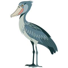 shoebill