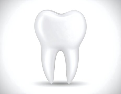 A realistic, isolated premolar tooth against a plain white backdrop