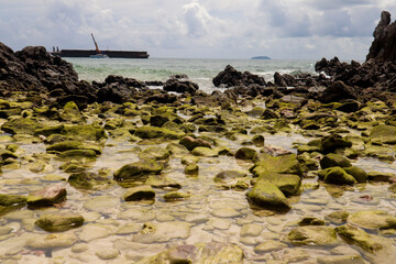 rocks on the beach