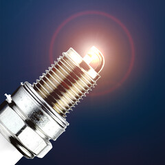 Small trees grow on big trees in the forest.