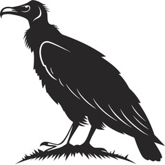 raven on a white background