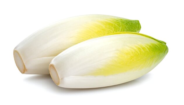 Two fresh endives, a light green and white vegetable, against a white background