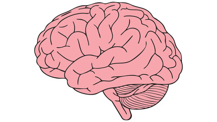 Minimalist Vector Brain Illustration – Pastel Pink Human Brain in Side Profile on Light Background