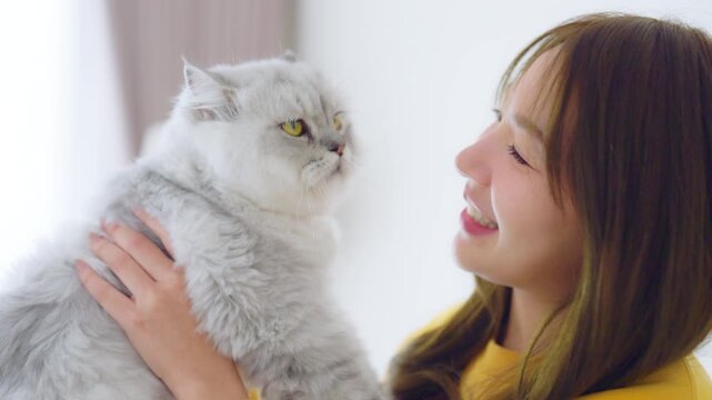 Portrait of young Asian woman holding cute cat. Female hugging her cute gray fluffy kitty. Adorable pet lover concept