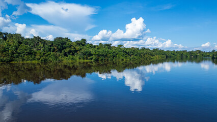 Naklejka premium Aerial view of the Amazonian rivers of the Peruvian rainforest, a drone view of the Amazon rainforest surrounded by water, the Nanay River surrounded by rainforests in the Peruvian Amazon
