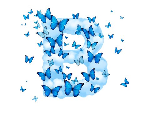 A cloud-shaped "B" adorned with fluttering blue butterflies