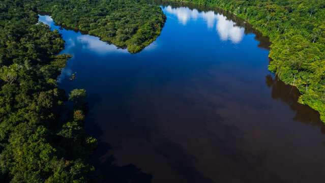 Aerial view of the Amazonian rivers of the Peruvian rainforest, a drone view of the Amazon rainforest surrounded by water, the Nanay River surrounded by rainforests in the Peruvian Amazon