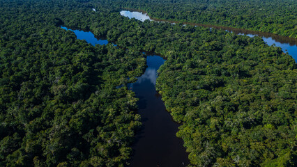 Aerial view of the Amazonian rivers of the Peruvian rainforest, a drone view of the Amazon rainforest surrounded by water, the Nanay River surrounded by rainforests in the Peruvian Amazon