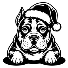 Christmas American Bully Dog