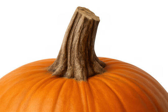 Orange autumn pumpkin with a brown stem, presenting a festive halloween decoration and fall harvest symbol on a transparent backdrop