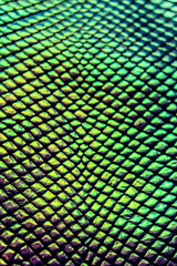 Snake skin texture. Holographic texture.