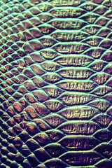 Snake skin texture. Holographic texture.