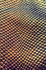 Snake skin texture. Holographic texture.