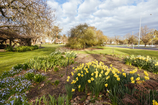 The famous Castlemaine Botanical Gardens on a warm spring afternoon
