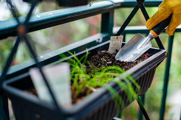 A person wearing gloves tends to a balcony planter, planting small green shoots.