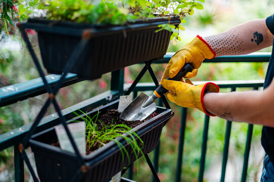 A gardener in gloves uses a trowel to plant herbs in balcony containers