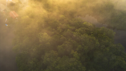 Aerial view of the Amazonian rivers of the Peruvian rainforest, a drone view of the Amazon rainforest surrounded by water, the Nanay River surrounded by rainforests in the Peruvian Amazon