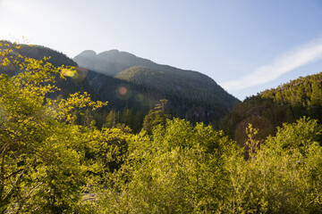 Obraz premium Beautiful sunny sunset in the mountains. Rays pass through the trees and the mountains cast shadows - summer hike in British Columbia, Canada