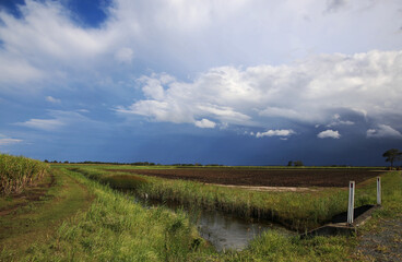 Stormy day in the cane fields of Jacobs Well, Gold Coast. Queensland, Australia