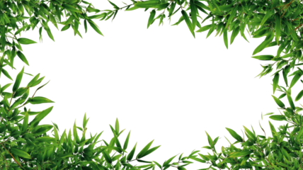 Rectangle bamboo frame showing natural wooden border with woven texture and organic decorative material detail isolated on white background