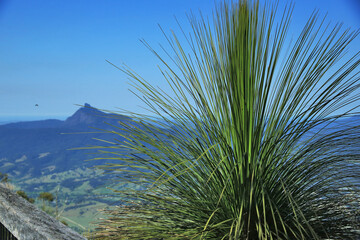 Views of Lamington National Park, Queensland, Australia