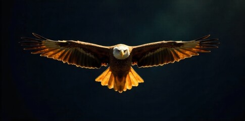Golden Eagle Soaring in a Vast, Sunlit Sky A close up, dynamic shot of a golden eagle in full flight. Its wings are spread wide, catching the golden sunlight. The background is a clear, bright, sunlit