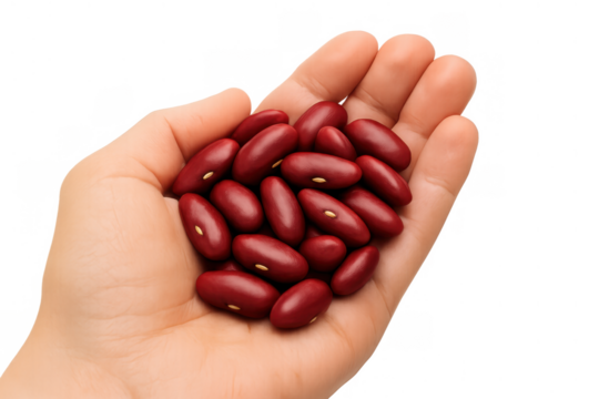 Hand holding fresh kidney beans, representing nutrient-rich legumes and natural plant-based protein for cooking. Transparent background