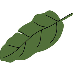 A Single Green Leaf with Black Veins on a Transparent Background Representing Nature and Growth