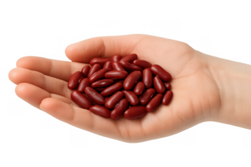 Hand holding dried red kidney beans, offering healthy plant-based protein legumes, transparent background