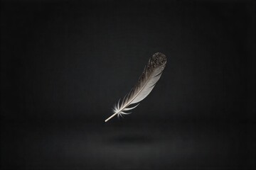 Feather falling gracefully against a stark, abstract background of deep indigo A single, grey and white speckled feather caught in mid fall against a deep, rich, abstract indigo background. Dramatic,