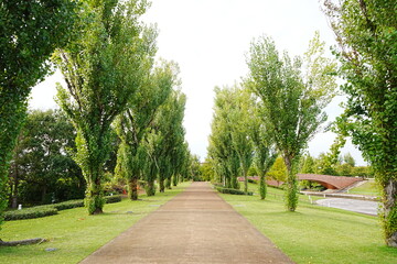 kansui Park and Fugan Unga in Toyama, Japan - 日本 富山県 富岩運河 環水公園