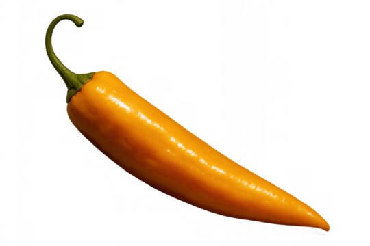 Yellow chili pepper showing vibrant color and spicy taste, often used as hot ingredient in cooking, transparent background