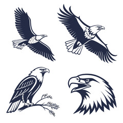 Four dark blue eagle illustrations on white background